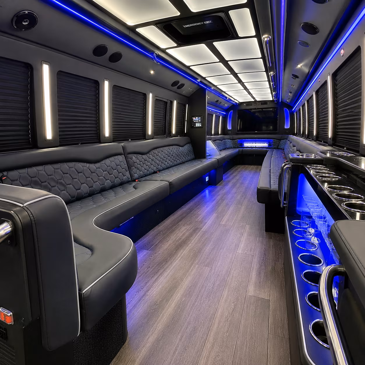 erie party bus rentals inside